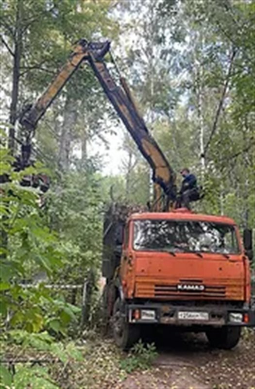 Вырубка аварийных деревьев